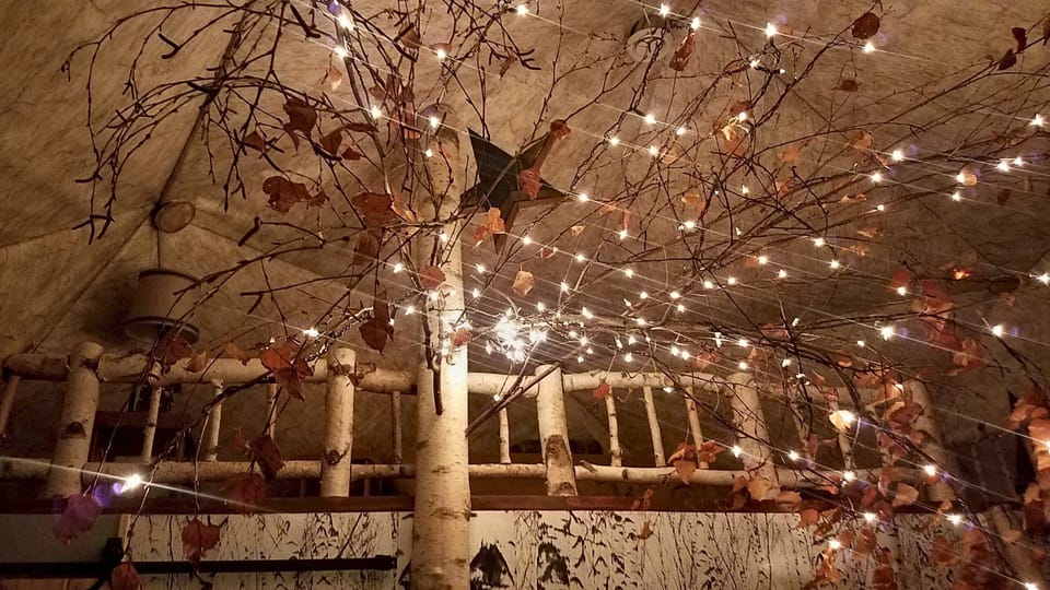 Night view of birch tree and lights