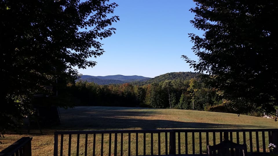 Summer view from deck