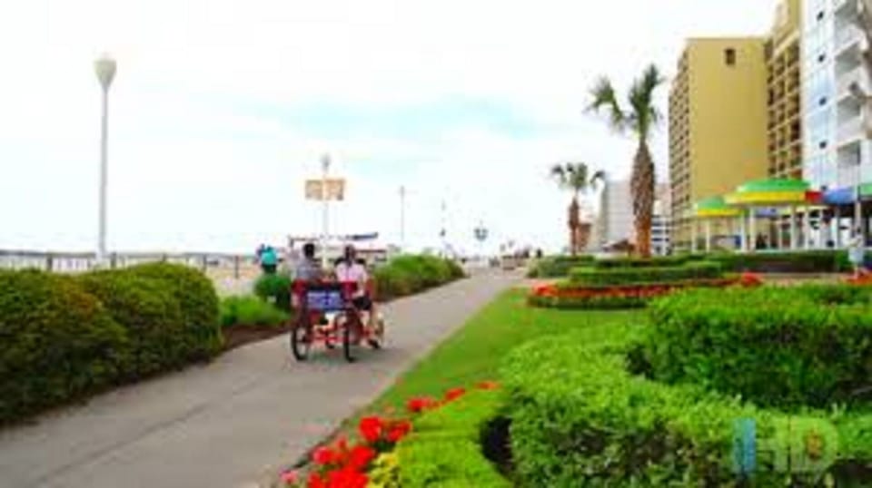 Boardwalk adventure