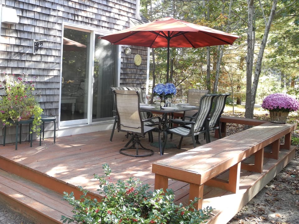 Large, sunny, private back yard