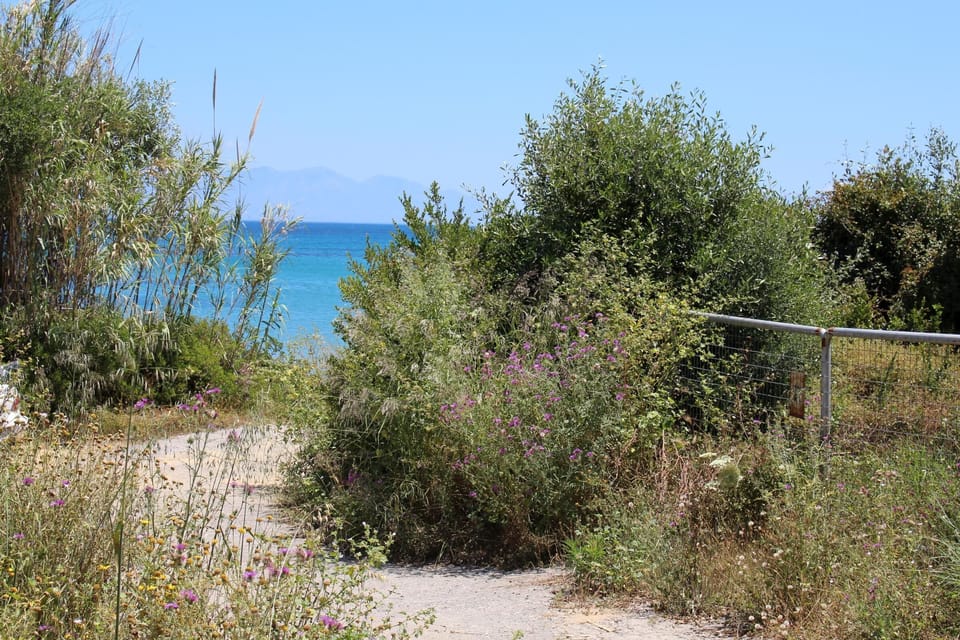 way to the beach