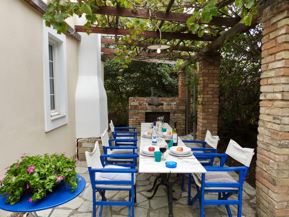 bbq and outdoor dining area under the grape vines
