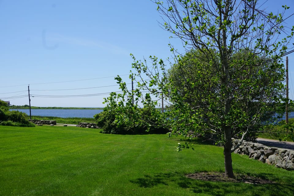 View from Hosta Cottage