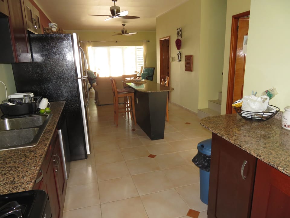 Kitchen looking toward living room
