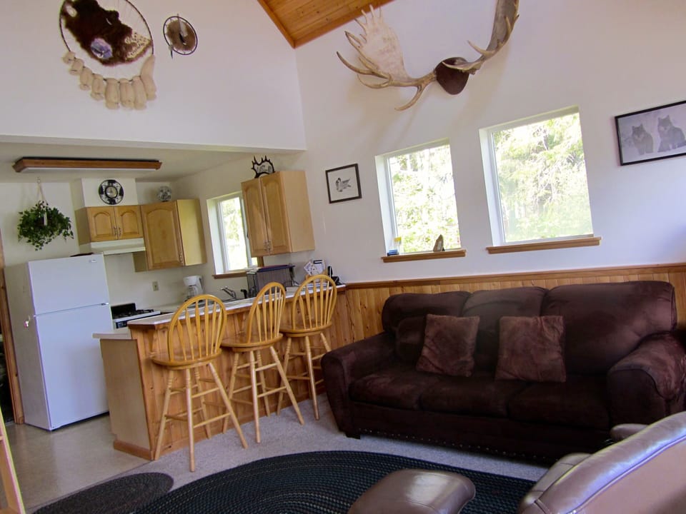 Lodge #1- the living room