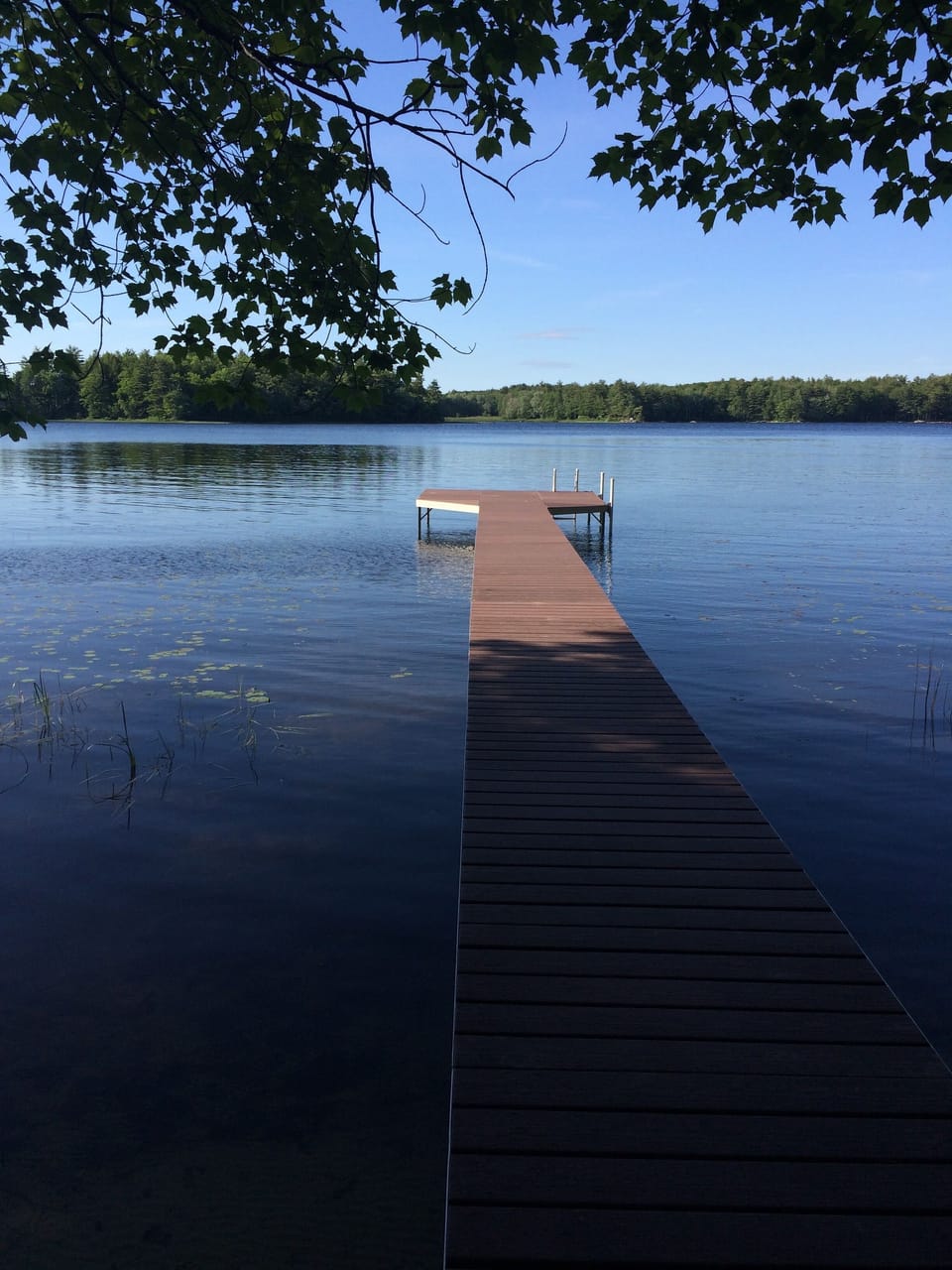 Dock