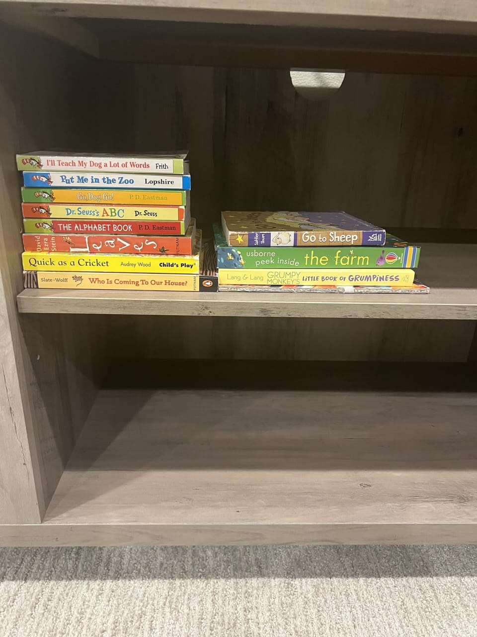Toddler books available in bonus room as well. 