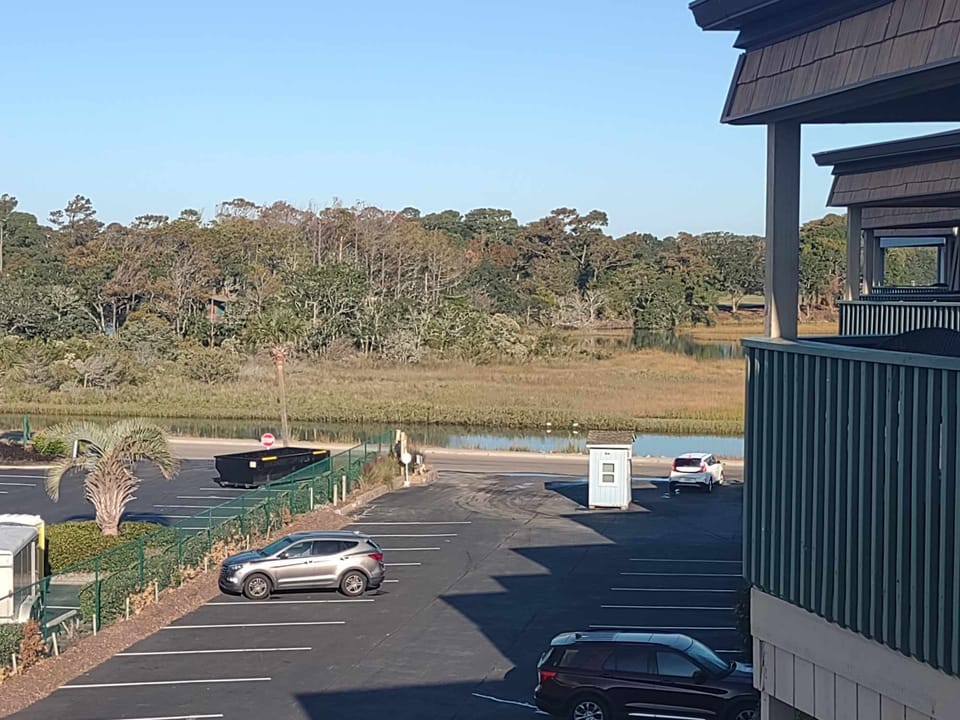 Marsh view from balcony