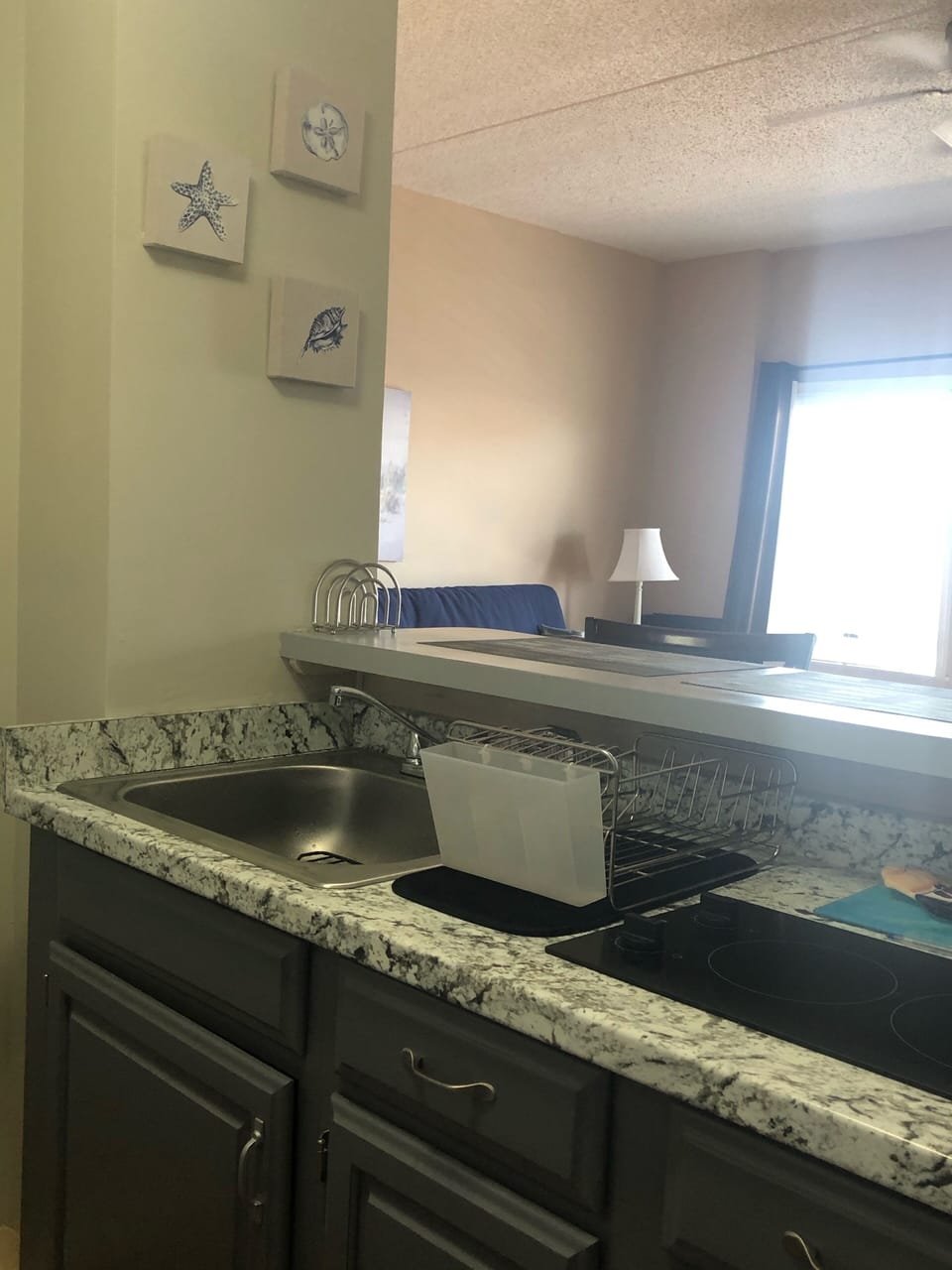 Kitchen sin and cooktop area