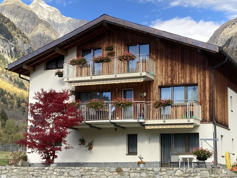 Plant, Sky, Building, Cloud, Property, Window, House, Wood, Mountain, Tree