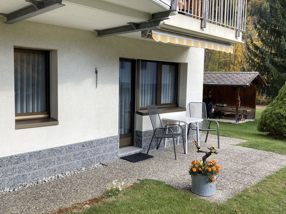 Plant, Flower, Property, Furniture, Building, Flowerpot, Window, Chair, Houseplant, Shade