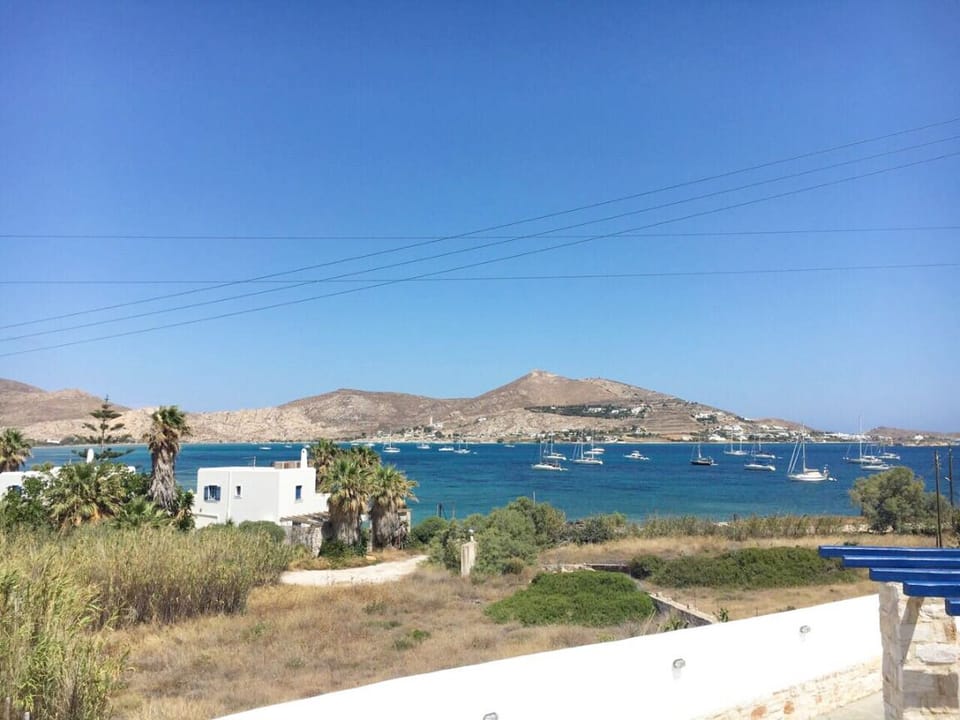 Seaview from our garden