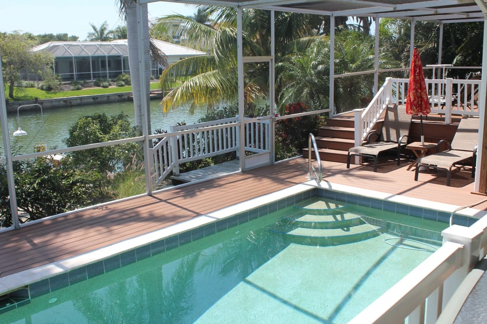 Dolphins while boating around Marco
