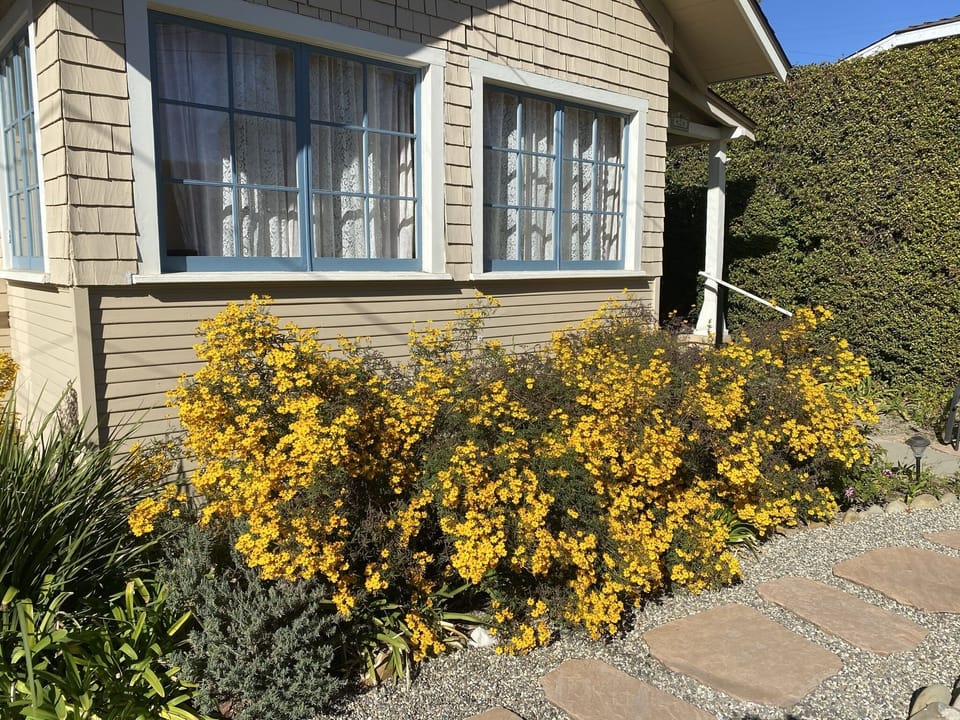 Gardens surround  the house