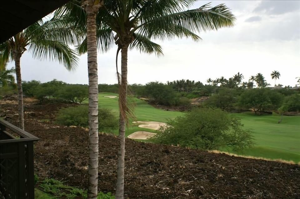 The View from Master Lanai