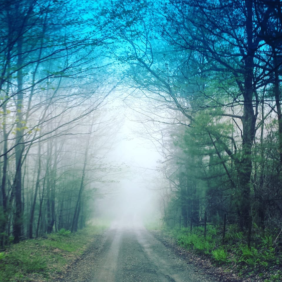 foggy path