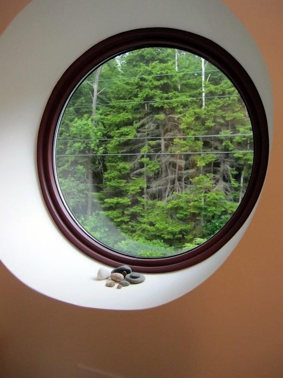 Port hole at top of stairs looking out to forest across the street