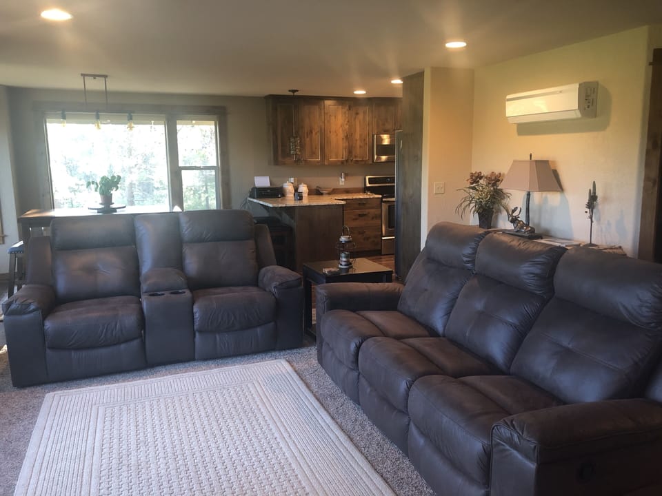 Living room area with new (2020) reclining sofa and loveseat.