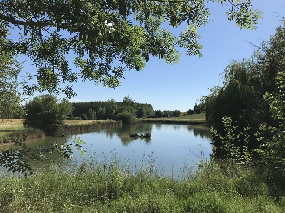 Lake