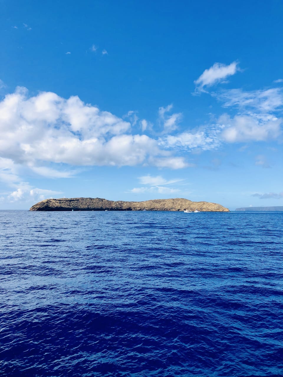 Molokini Island off the coast of Kihei. Great snorkeling!
