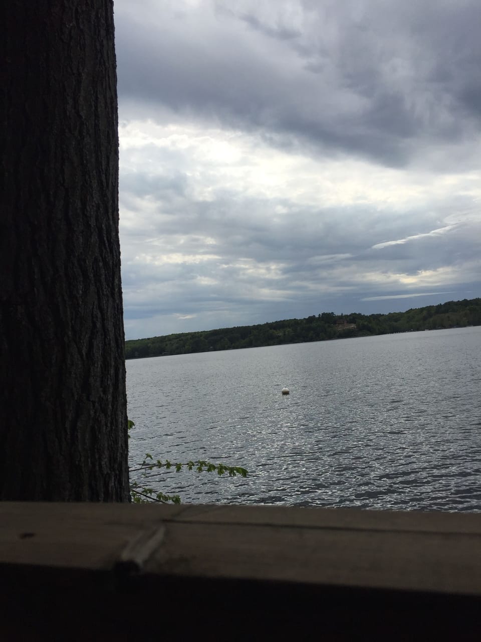 View from property
