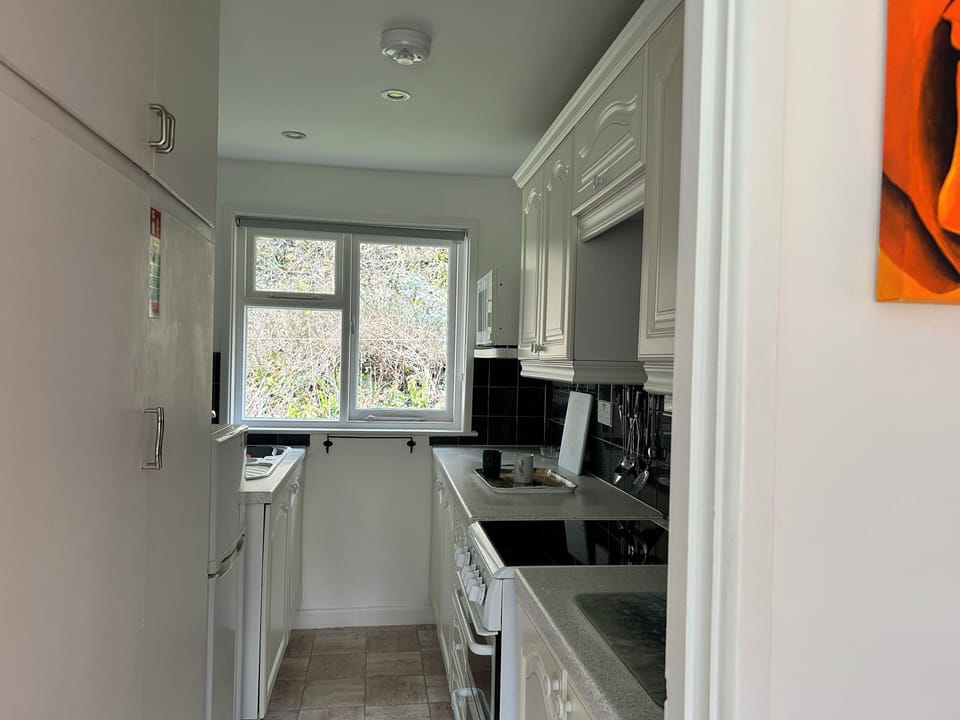 Galley kitchen. Oven, microwave