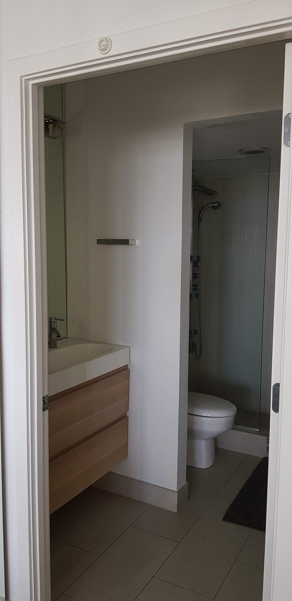 toalet with sink and shower