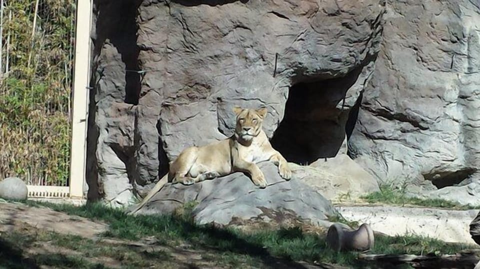City zoo