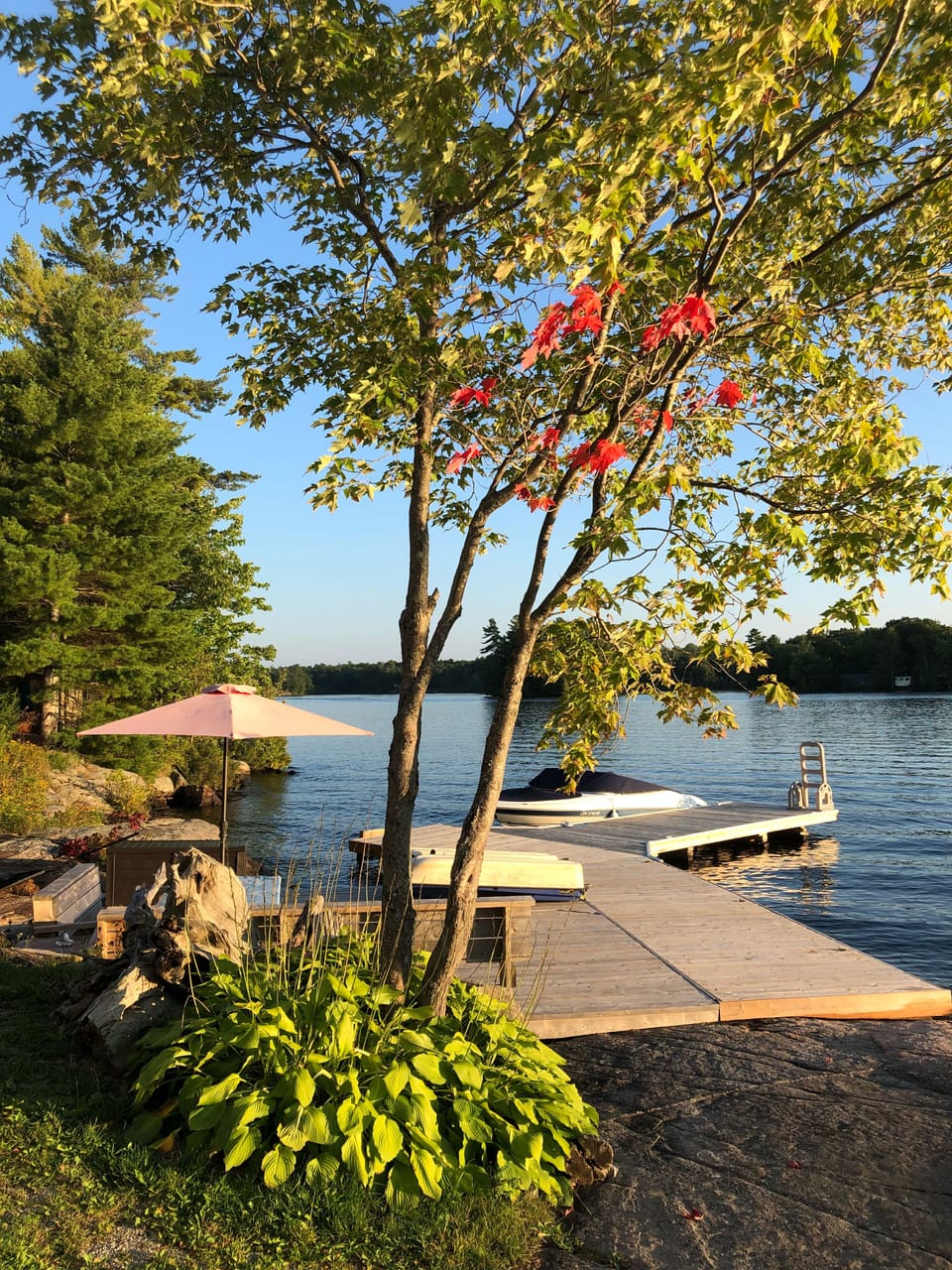 Nature’s Fall Colours