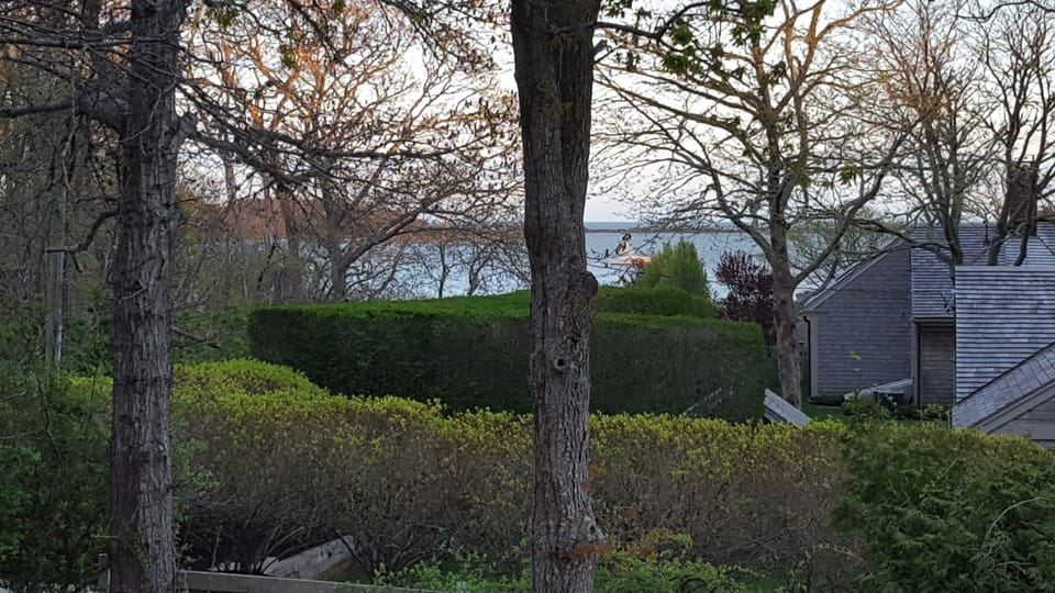 Early evening view from the deck in the spring.
