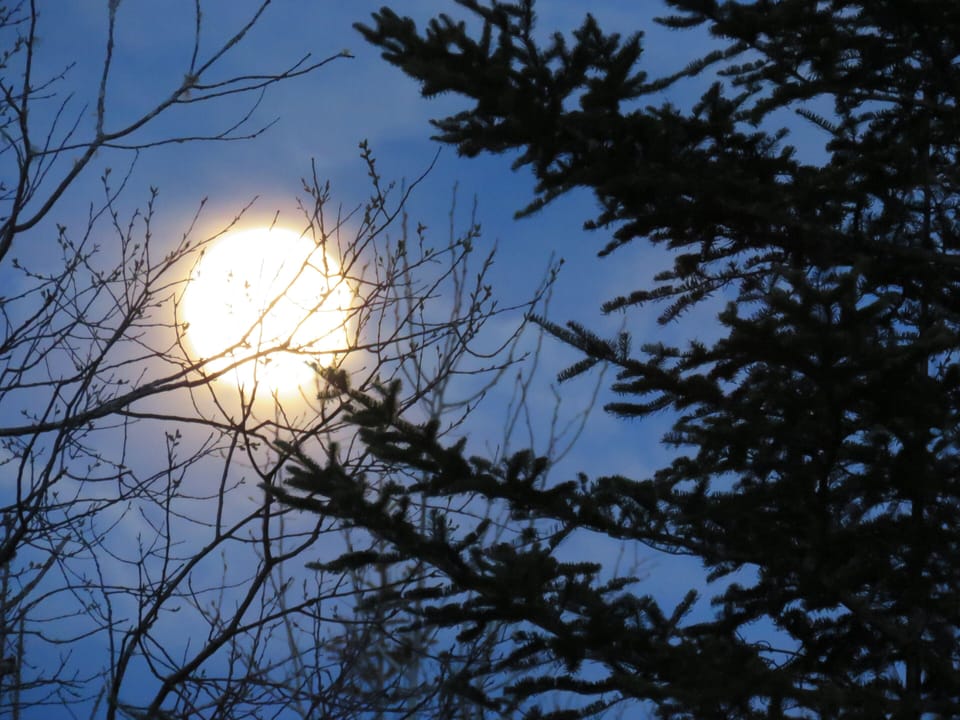 Strawberry full moon over the cabins, May 2020.

