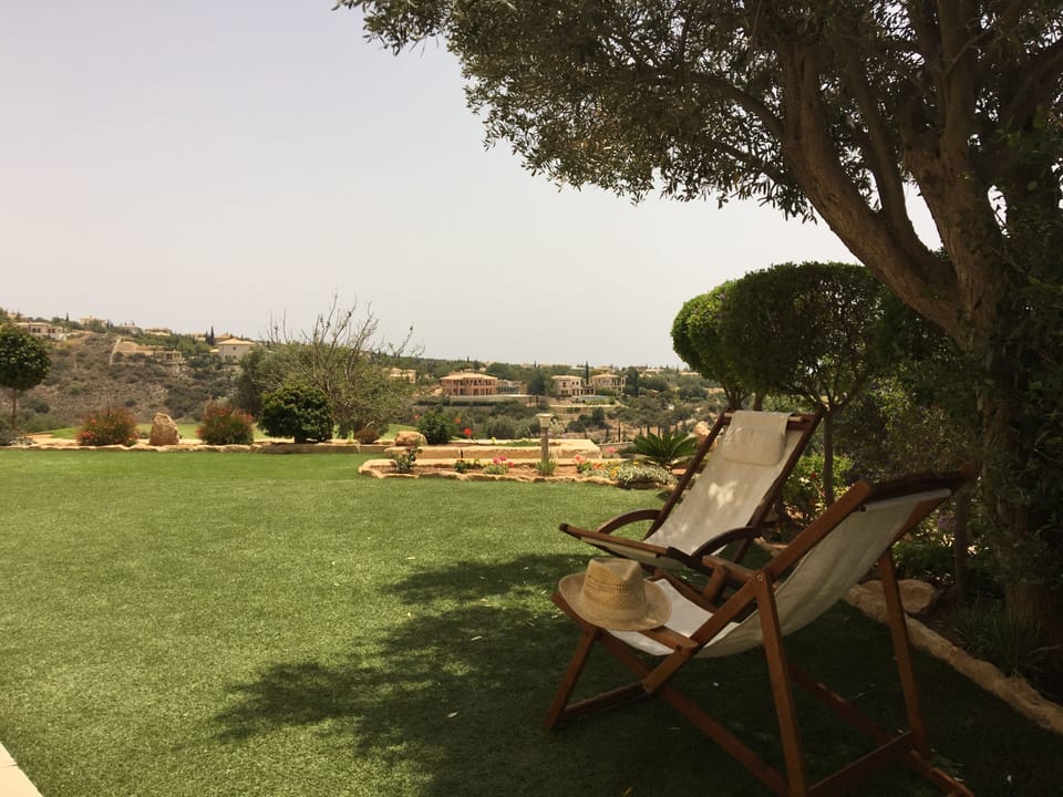 Relax in the shade under C01s Olive tree