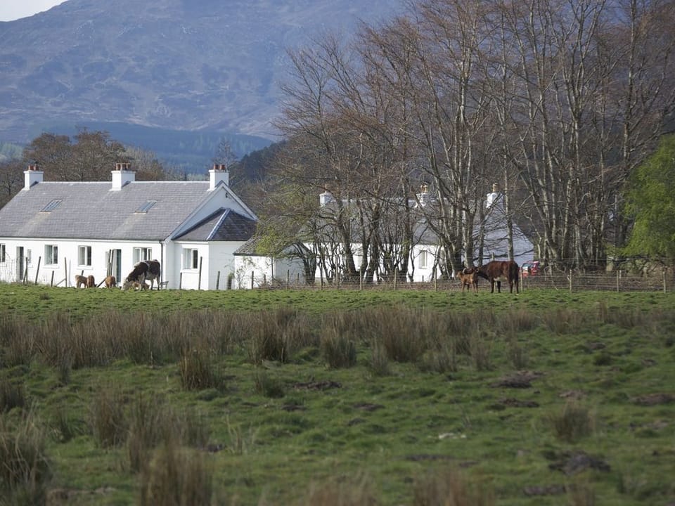 View of Strathan Cottage from the field