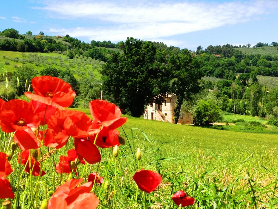 The apartments in the green hills of Bevagna (Umbria) - fantastic view of Assisi