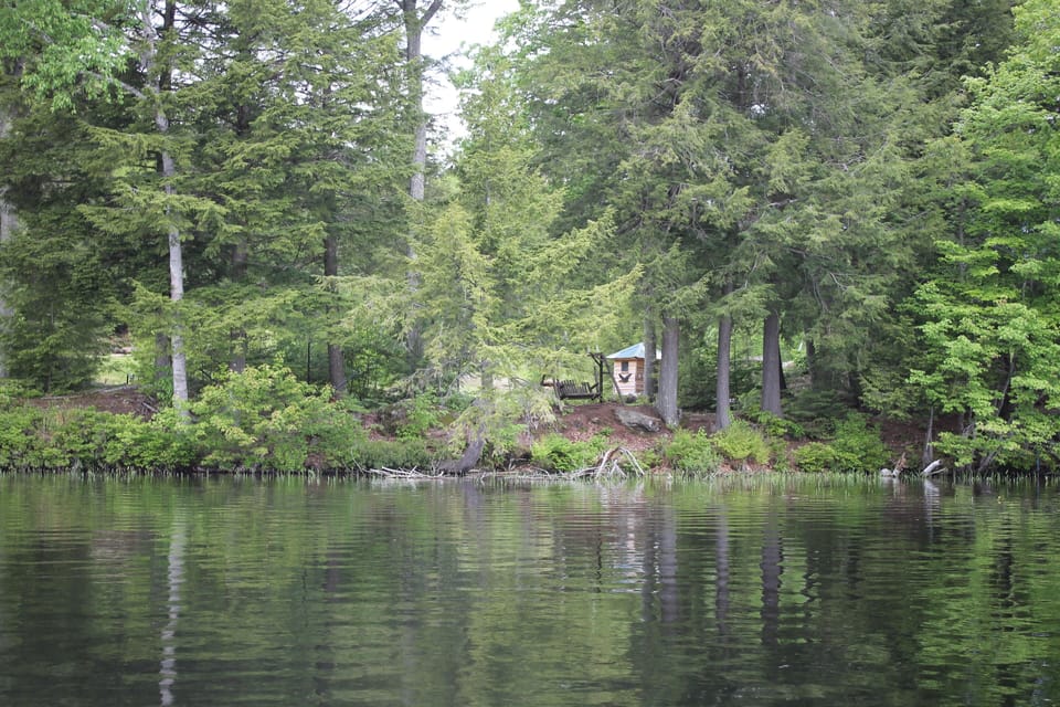 a view from the pond, including rustic swing
