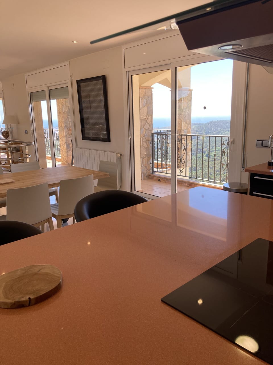 view from kitchen island