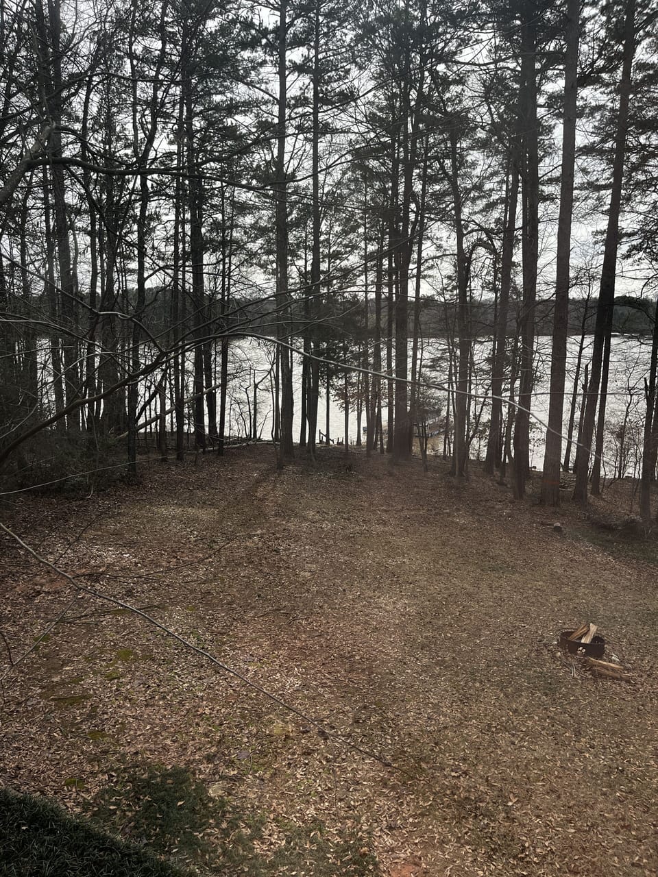 Lake View from house 