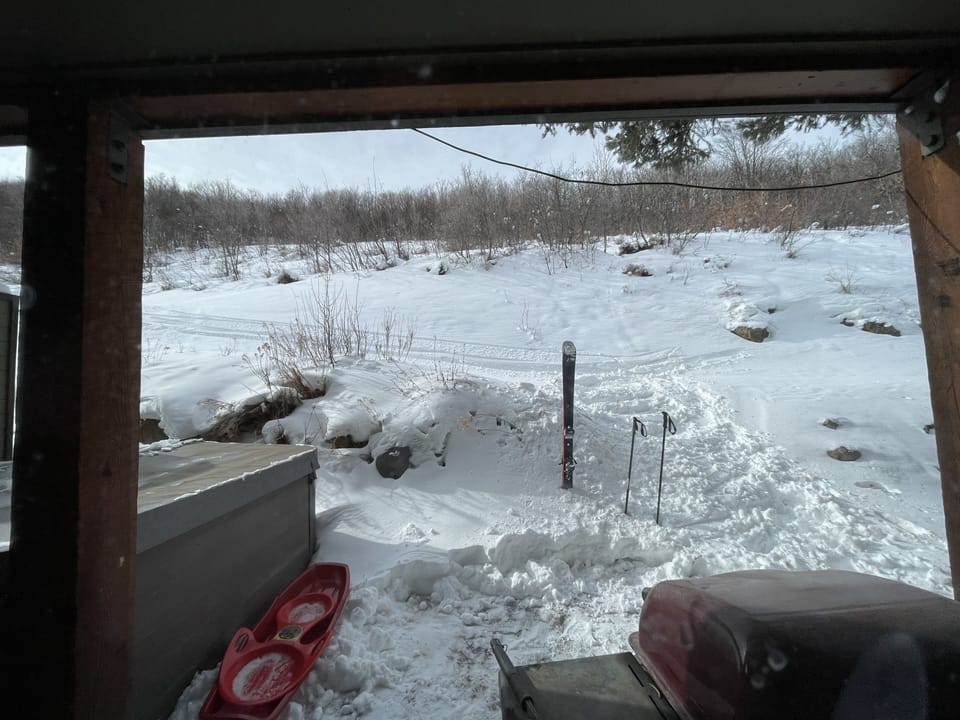View of ski in path from backyard.