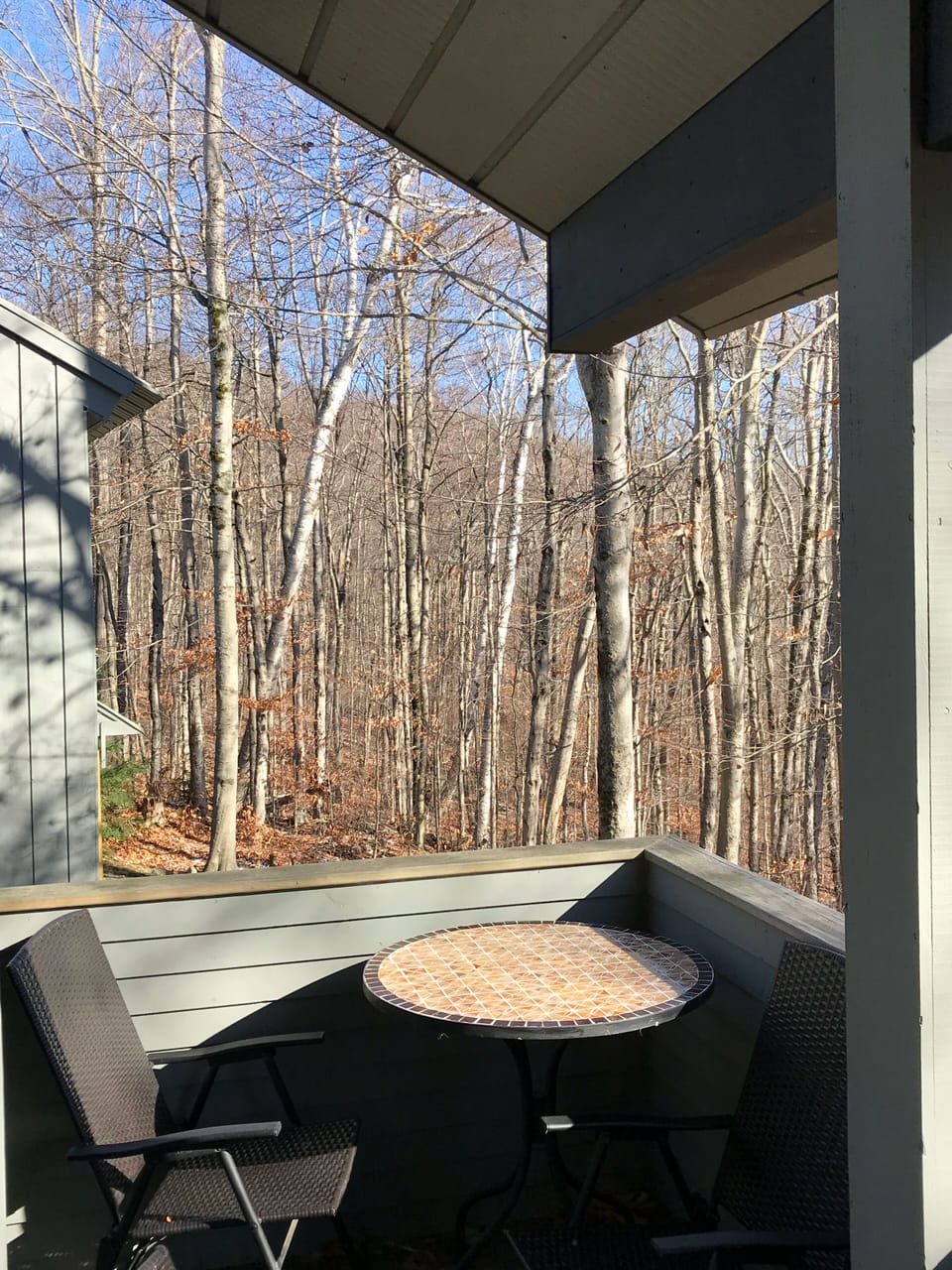 Wrap around deck.