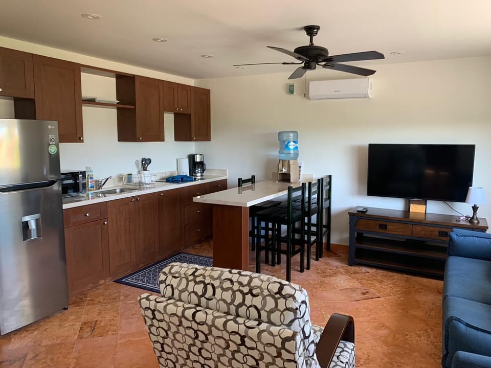 Living area with TV, full kitchen and kitchen bar
