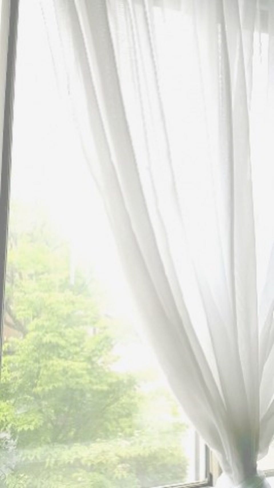 Guest Bedroom Window with City Highrises and Tree Top Views (Varies w/Seasons)