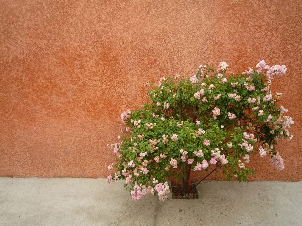 Image 13