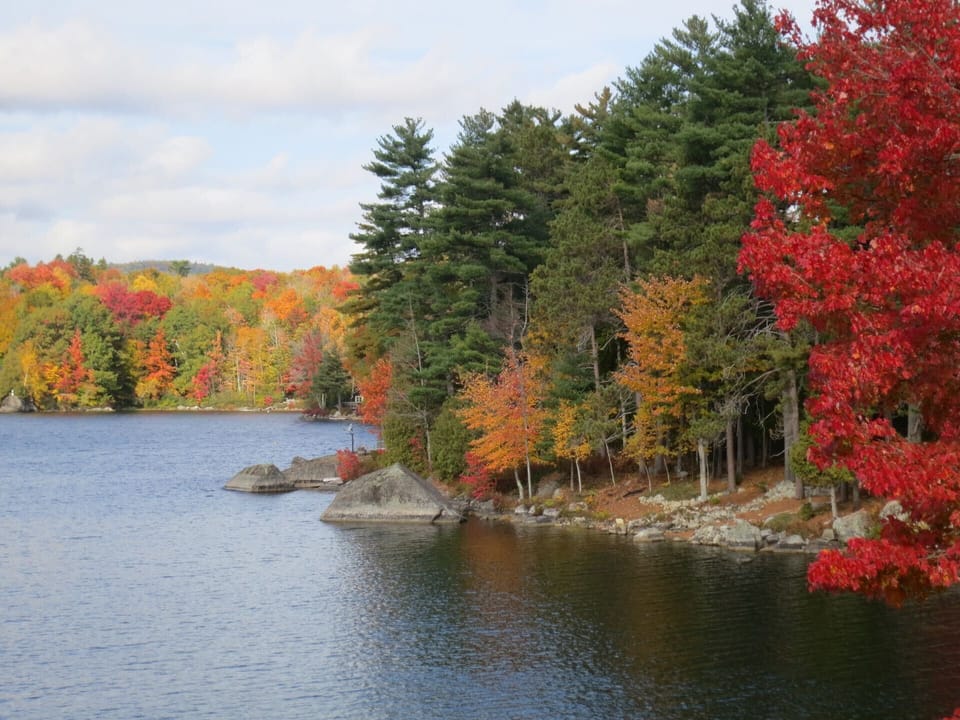 Outstanding fall foliage