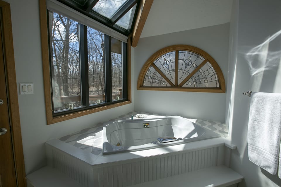 Master bathroom soaking tub