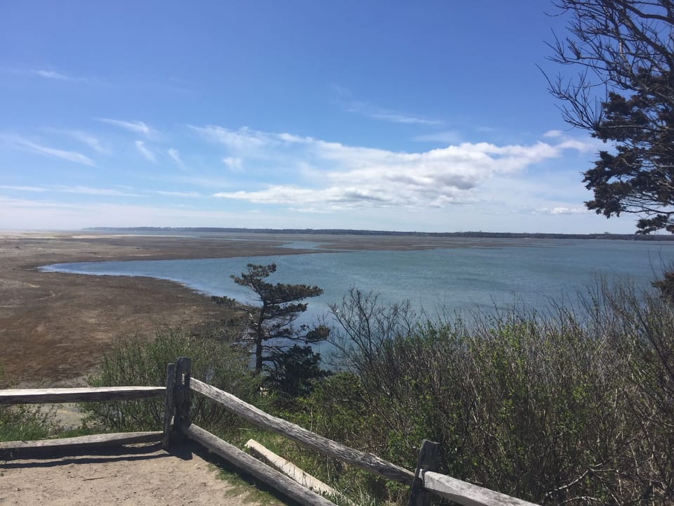 Salt Pond at Cape Cod National Seashore
