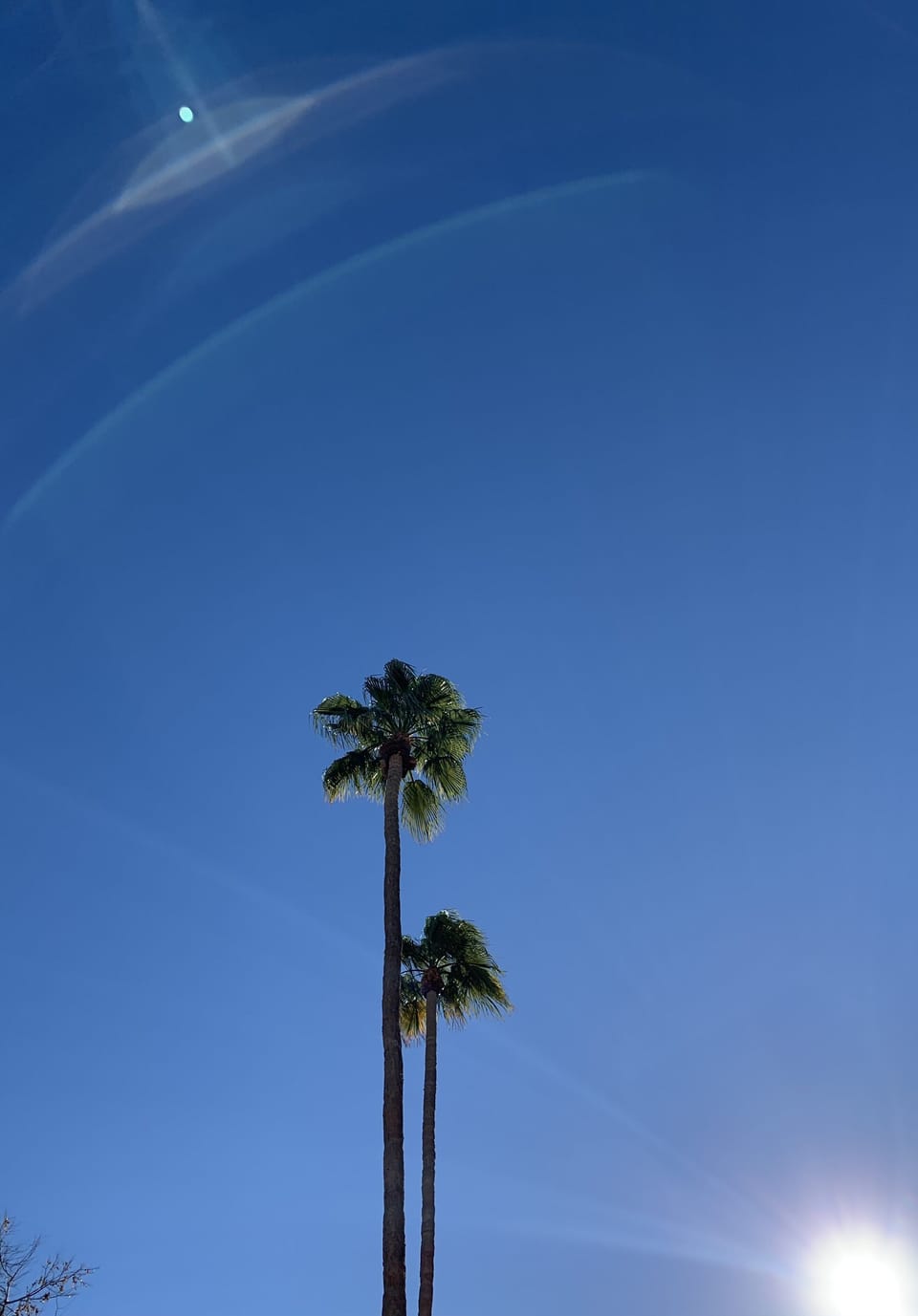 View from the pool deck.  