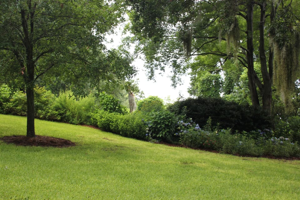 Beautiful gardens designed to attract hummingbirds and butterflies.