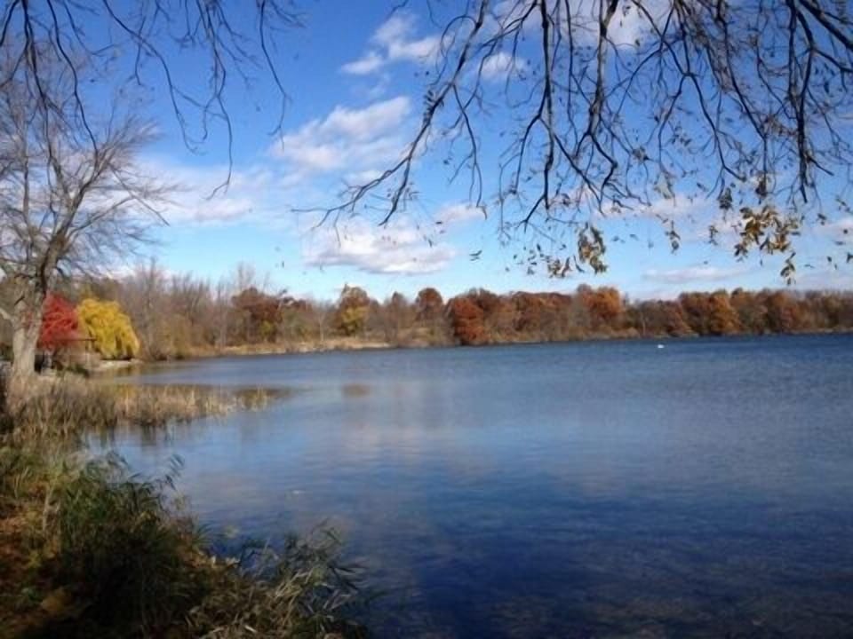Late fall foliage