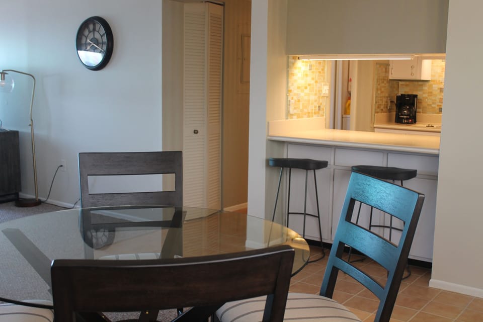 Dining/Kitchen Area