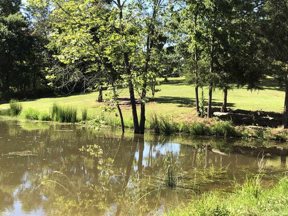 Second pond cabin at top of this hill look real close you’ll see it
